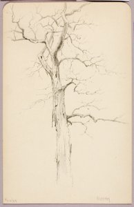 Hickory od George Elbert Burr