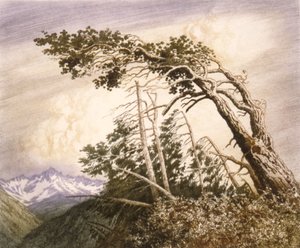 Domov větrů [č. 2]