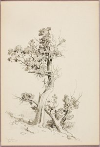 Manitou od George Elbert Burr