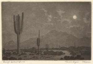 Moonlight-Phoenix od George Elbert Burr