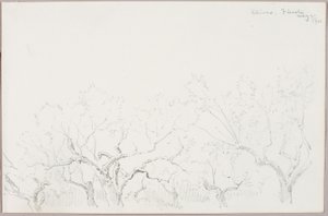 Olivy - Fiesole od George Elbert Burr