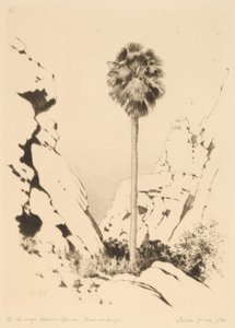 Palm Canyon (č. 1) od George Elbert Burr