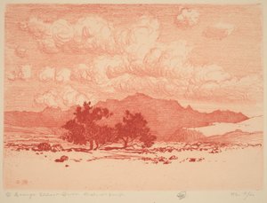 Stromy palo verde od George Elbert Burr