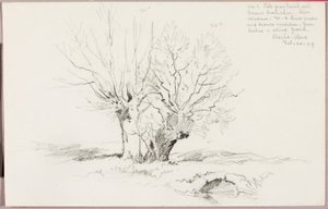 Roche Vaud od George Elbert Burr