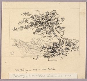 Skica k vánočnímu přání (Windswept Pine [č. 1]) od George Elbert Burr