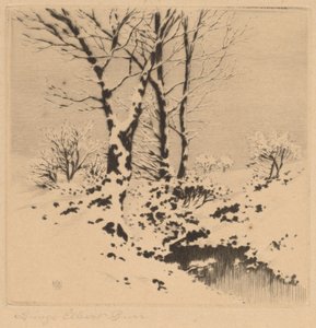 Sníh od George Elbert Burr