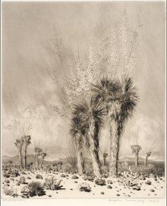 Jaro, Paradise Valley, Arizona od George Elbert Burr