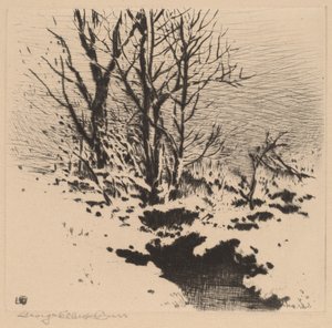 První sníh (č.2) od George Elbert Burr
