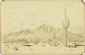 Bez názvu (přenosová kresba pro Camelback Mountain, Phoenix) od George Elbert Burr
