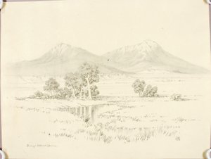 Bez názvu (převodní kresba pro Spanish Peaks [č. 2]) od George Elbert Burr