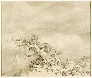 Bez názvu (převodní kresba pro Storm near Timberline) od George Elbert Burr