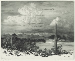 Řeka Verde, rezervace Apache, Arizona od George Elbert Burr