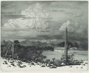 Verde River, Arizona od George Elbert Burr