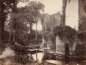 Hrad Raglan, 60. léta 19. století (foto) od George Esq. Shadbolt