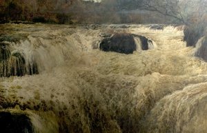 Salmon Leap, Cenarth Falls, Cardiganshire, Wales, 1878 od George Frank Miles