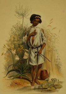 Charley, Half Caste Kafir Boy, deska 24 z 
