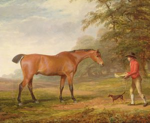 Bay Horse, ke kterému se blíží stájový mladík s jídlem a ohlávkou, 1789
