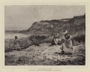 The Widow
