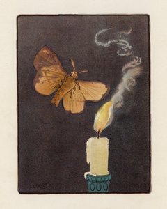 Můra (barevná litografie)