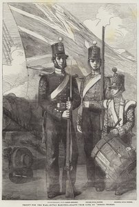 Vojska pro válku, Royal Marines