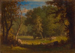 Elf Ground, ca. 1860. od George Inness