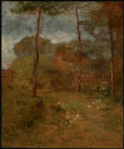 Orange Road, Tarpon Springs od George Inness