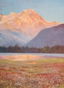 Večer mezi růžovými poli Bistort u jezera Champex; západ slunce na Grand Combin, červenec (barevná litografie) od George Jackson Flemwell