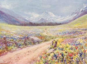 Červnové louky se šalvějí, lichnisem atd. v údolí Val Ferret, těsně před příjezdem do vesnice Praz de Fort (barevná litografie) od George Jackson Flemwell