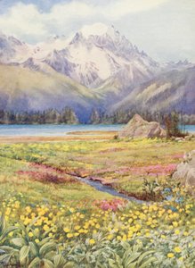 Horní pole Champex na začátku června, v dálce Grand Combin (barevná litografie) od George Jackson Flemwell