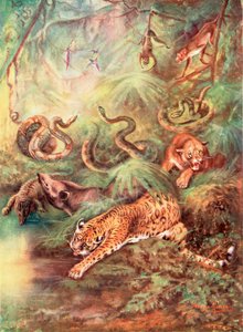 Velký brazilský prales a jeho zoo (barevná litografie)