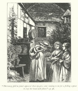Ilustrace pro The Vicar of Wakefield (rytina) od George John Pinwell