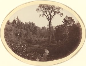 Krajina poblíž Williams College