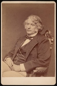 Portrét Charlese Sumnera 1811-1874, před rokem 1874.