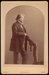 Portrét Charlese Sumnera 1811-1874, mezi 1872 a 1874.