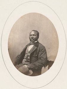 Portrét muže, Harvard University, 1861.