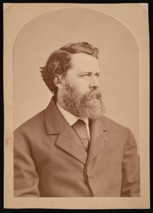 Portrét Olivera Wolcotta Gibbse 1822-1908, mezi 1870 a 1873.