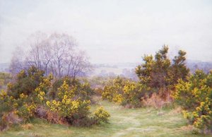 A Surrey Common (akvarel)