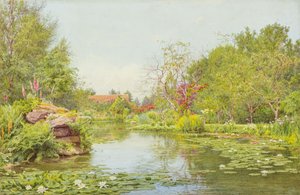 Rybník s liliemi (akvarel)