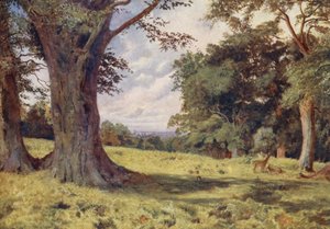 Polana ve Windsorském parku (barevná litografie) od George Moore Henton