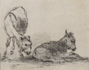 Oslí hříbata (uhlí na papíře) od George Morland