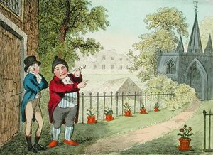 Ukázat zahradu, vyryl Isaac Cruikshank (1756-c.1811), vydáno 1796 (akvatinta) od George Moutard (after) Woodward