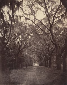 Bonaventure hřbitov, čtyři míle od Savannah, 1866. od George N. Barnard
