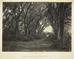 Buen-Ventura Savannah, Ga., 1866. od George N. Barnard