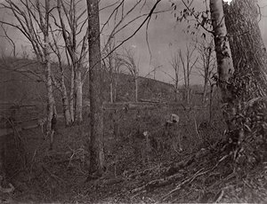 Bull Run, Virginie, 1861-62. od George N. Barnard