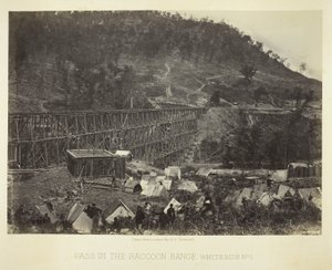 Průsmyk v pohoří Raccoon Range, Whiteside č. 1 od George N. Barnard