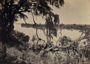 [Řeka Savannah, poblíž Savannah, Georgie] od George N. Barnard