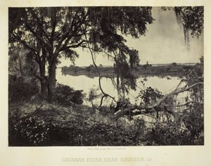 Řeka Savannah, poblíž Savannah, GA