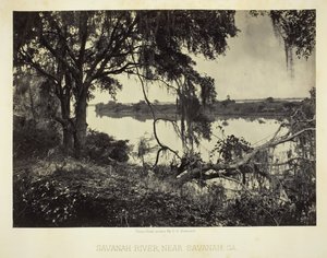 Savannah River, poblíž Savannah, GA, 1866.