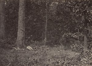Scéna smrti generála McPhersona, 1864 nebo 1866. od George N. Barnard