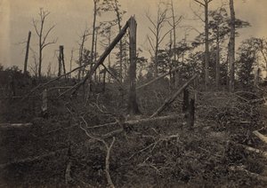  od George N. Barnard